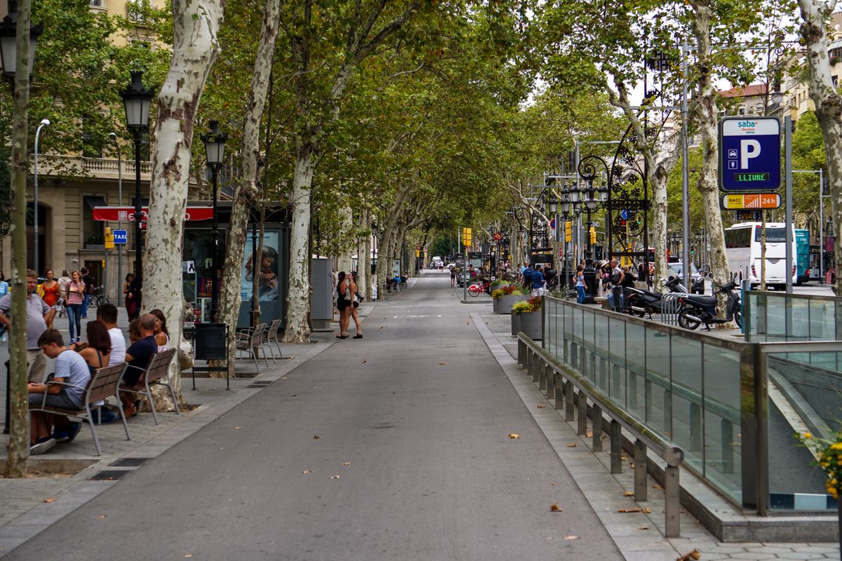 The tree-lined pedestrian promenade of La Rambla, with plane trees, café tables and benches