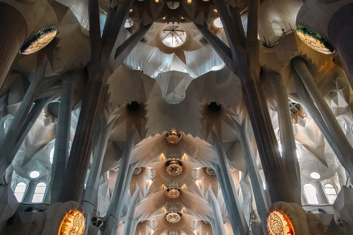 Looking up at the branching tree-like columns and vaulted ceiling inside the Sagrada Familia